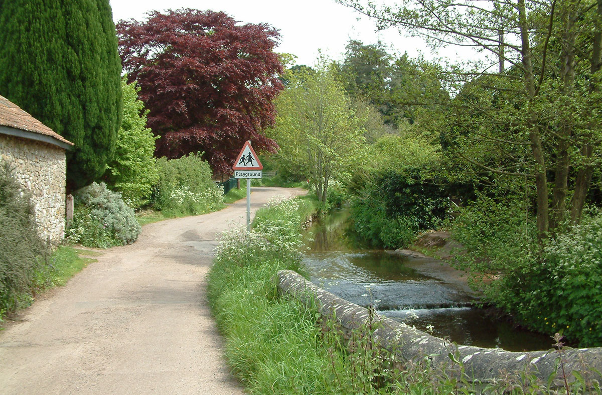 a stream in the Blackdown Hills